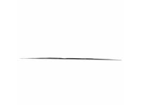 Mercedes-Benz 222-690-85-01 Body Side Molding Mercedes-Benz 222-690-85-01 Body Side Molding
