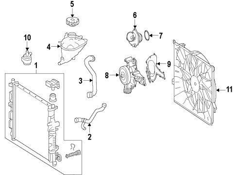 2011 Mercedes-Benz ML450 Cooling System, Radiator, Water Pump, Cooling Fan Diagram 2