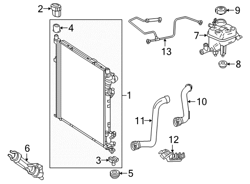 Lower Hose Diagram for 166-500-00-77