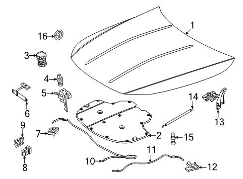 2024 Mercedes-Benz CLE53 AMG Hood & Components