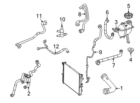 2021 Mercedes-Benz GLE53 AMG SUV Hoses, Lines & Pipes