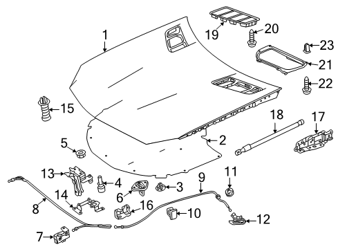 2014 Mercedes-Benz SLK55 AMG Hood & Components Diagram