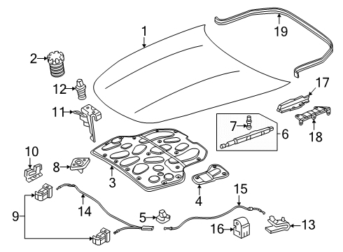 2024 Mercedes-Benz AMG GT 55 Hood & Components