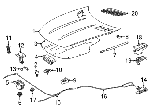 2019 Mercedes-Benz AMG GT C Exterior Trim - Hood Diagram
