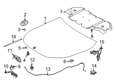 2021 Mercedes-Benz GLA35 AMG Hood & Components Diagram