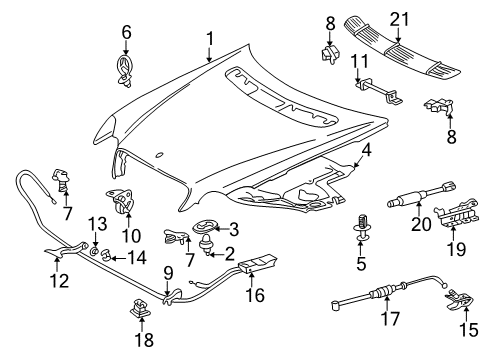 2001 Mercedes-Benz C240 Hood & Components Diagram
