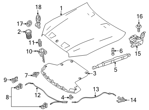2021 Mercedes-Benz E53 AMG Hood & Components Diagram 2