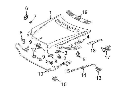 2005 Mercedes-Benz CLK55 AMG Hood & Components Diagram
