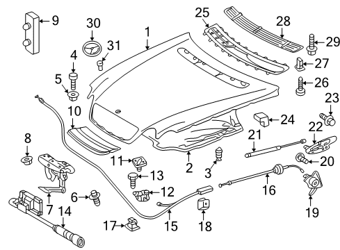 2002 Mercedes-Benz CL500 Hood & Components Diagram