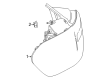 Diagram for Mercedes-Benz Back Up Light - 247-906-33-01-28