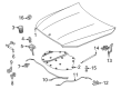 Diagram for Mercedes-Benz E450 Hood Hinge - 214-880-13-00