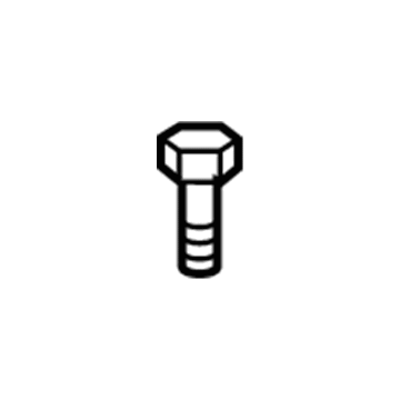 Mercedes-Benz CLE53 AMG Door Screws - 000000-003648