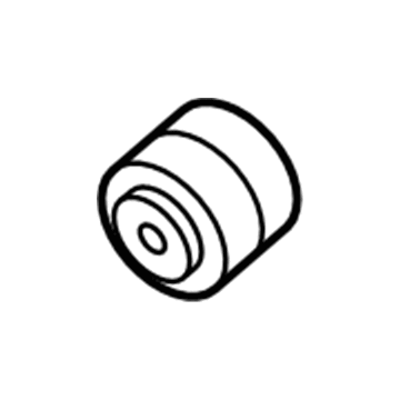 Mercedes-Benz E400 Axle Pivot Bushing - 205-333-38-00