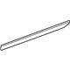 Mercedes-Benz 251-690-25-62-9999 Side Molding Mercedes-Benz 251-690-25-62-9999 Side Molding