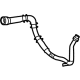 Mercedes-Benz 190-501-16-00 Lower Hose Mercedes-Benz 190-501-16-00 Lower Hose