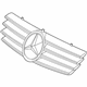 Mercedes-Benz 215-880-03-83 Grille Assembly