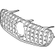 Mercedes-Benz 253-888-22-01 Grille Assembly Mercedes-Benz 253-888-22-01 Grille Assembly