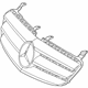 Mercedes-Benz 251-880-15-83-9040 Grille Assembly Mercedes-Benz 251-880-15-83-9040 Grille Assembly